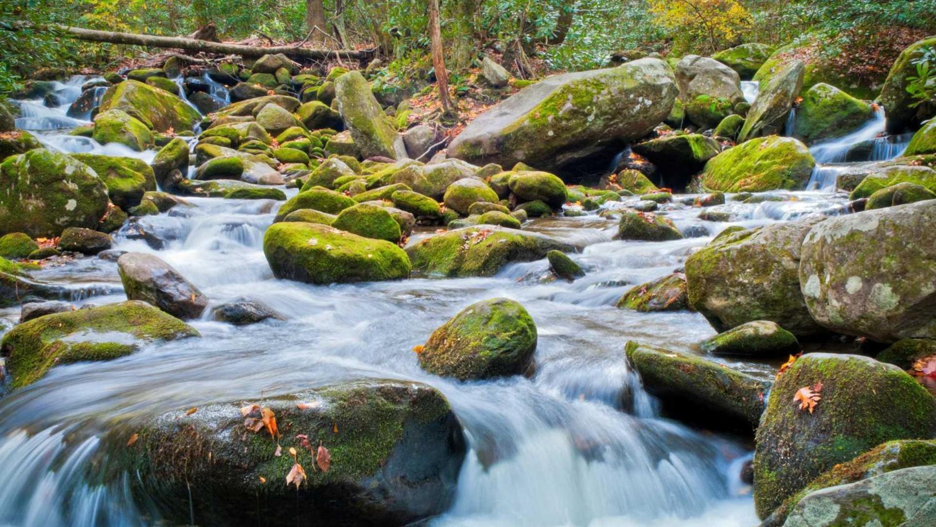 Little Smoky Retreat , 3 Bedroom , Close To Downtown Gatlinburg And Pigeon Forge Exteriör bild
